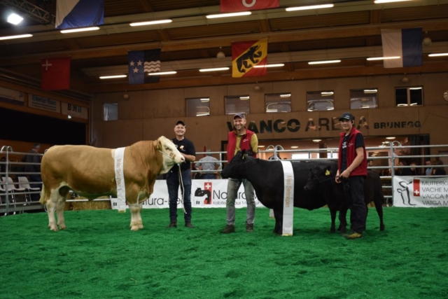 Miss u Mister Swissopen_2025_Quelle_Svenja_Strasser